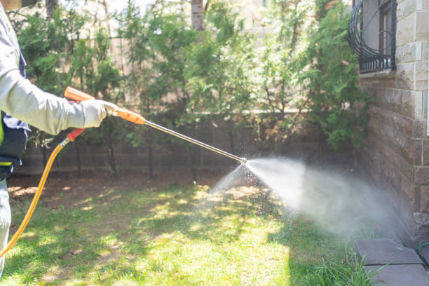 Best Mosquito Control Services  in Plummer, ID