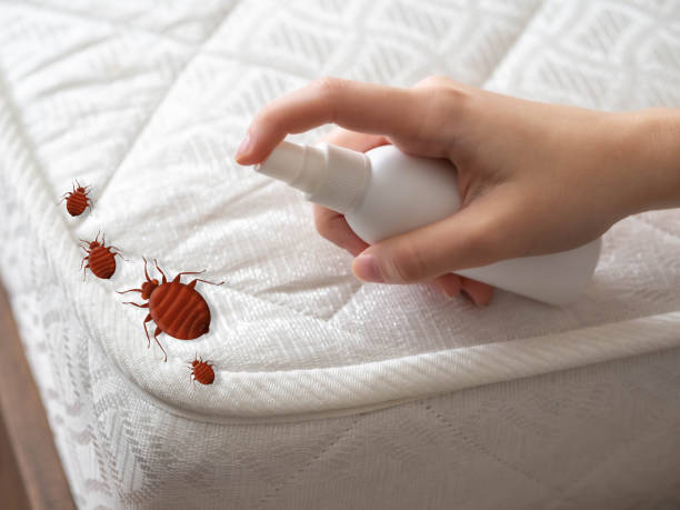 Professional Pest Control in Plummer, ID