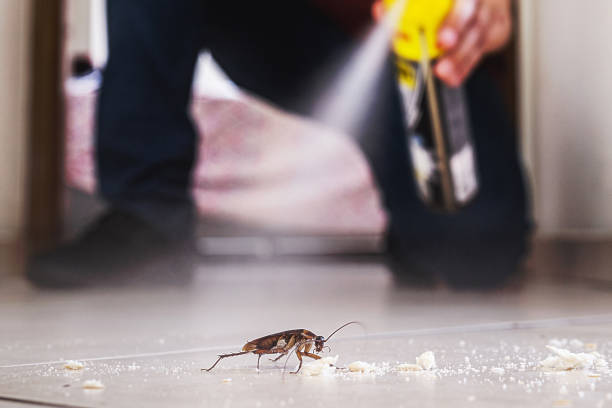 Best Best Pest Control Companies  in Plummer, ID