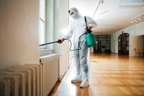 Best Exterminator Services  in Plummer, ID